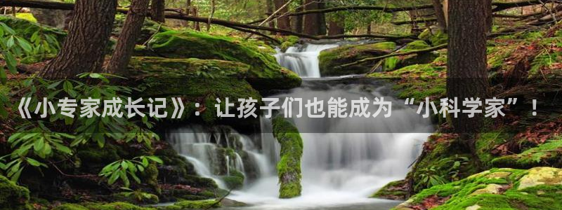 必一运动bsport体育app下载