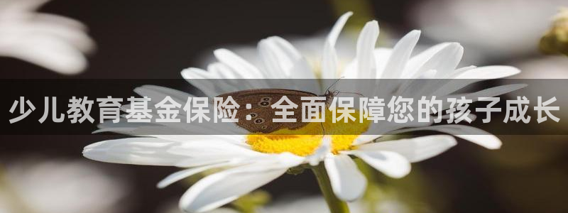 必一运动·(b-sports)官方网站