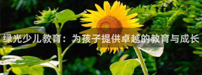 必一体育黑钱