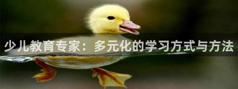 必一体育官网入口