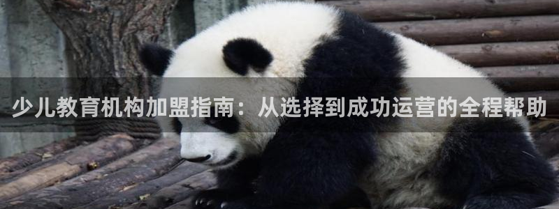 必一体育合法吗