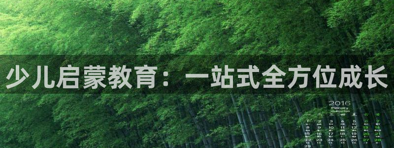 必一体育官网app