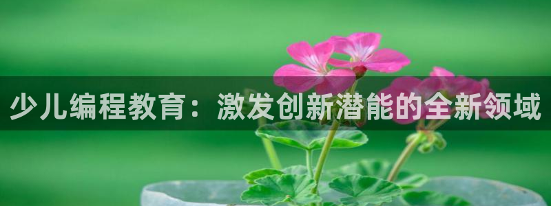 必一体育app下载最新版本