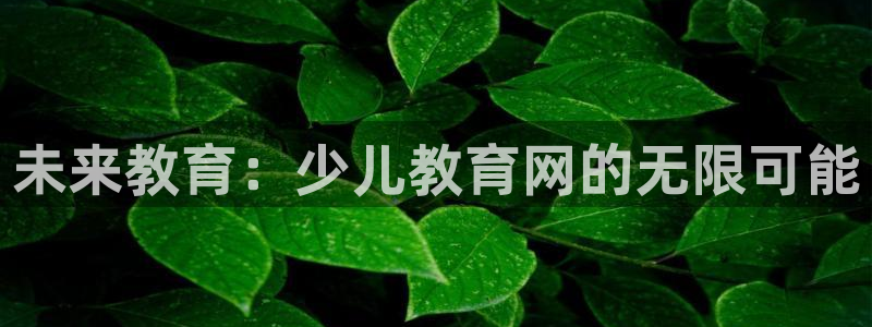 必一运动·(B-Sports)