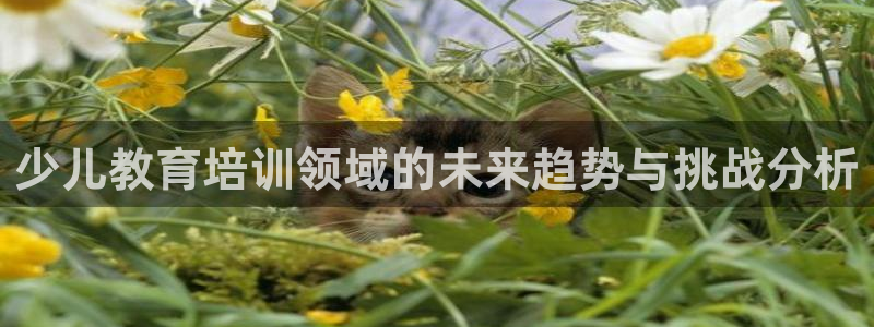 必一体育在线官网