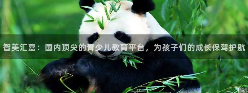 必一体育在线下载
