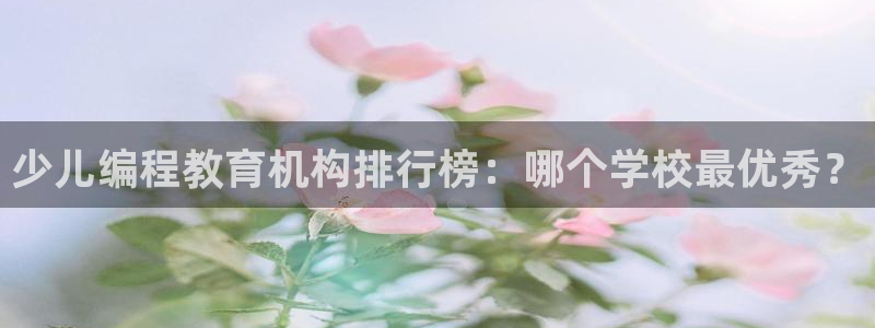 必一体育运动app
