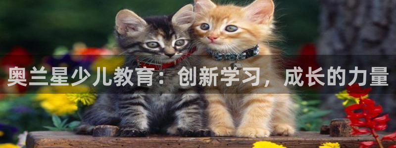 必一体育登陆