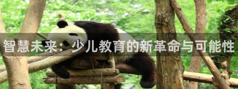 必一体育游戏特色