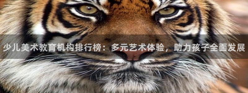 必一体育黑平台