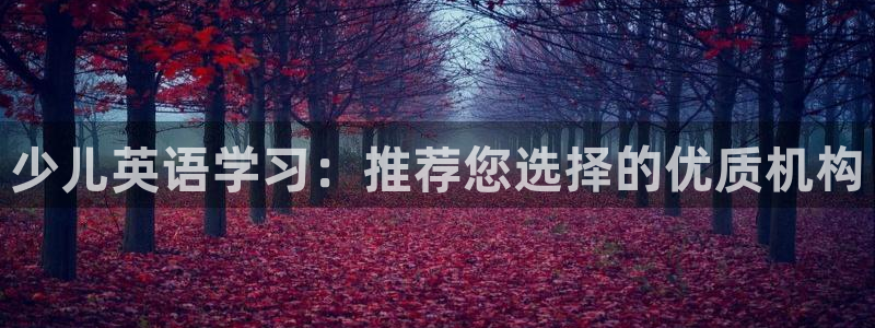 必一体育下载意思