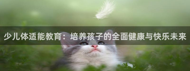 必一体育运动官网