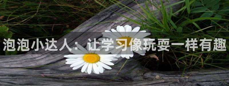必一体育服下载最新版本更新内容