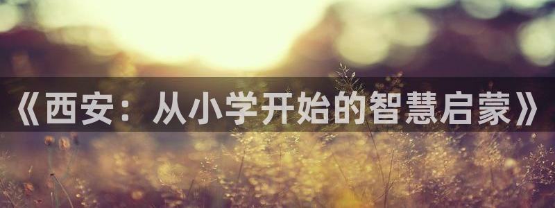 必一体育官网app