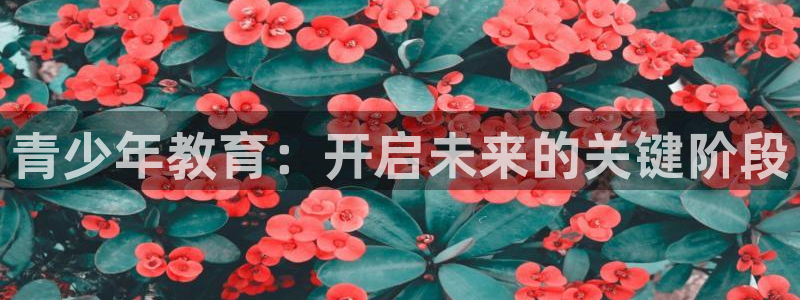 必一体育官方下载入口