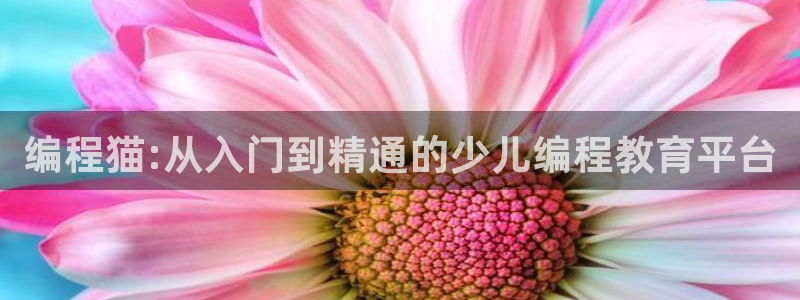 必一体育运动下载