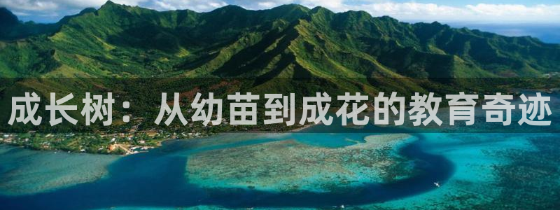 必一体育sport官方网站