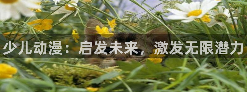 必一运动aop