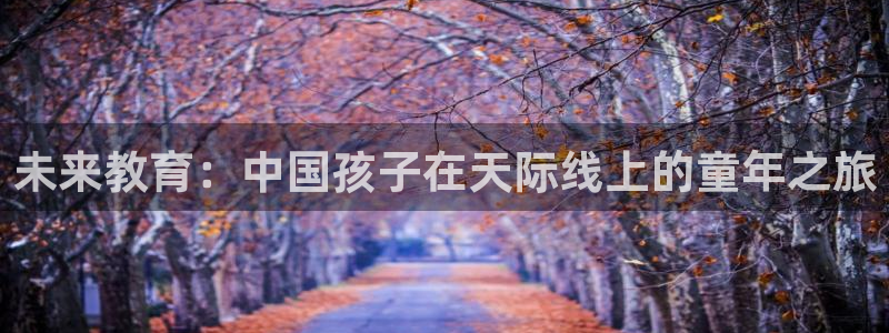 必一体育sport下载