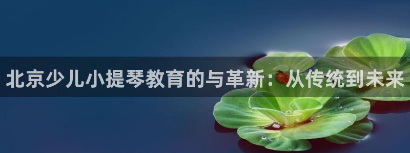 必一体育网站