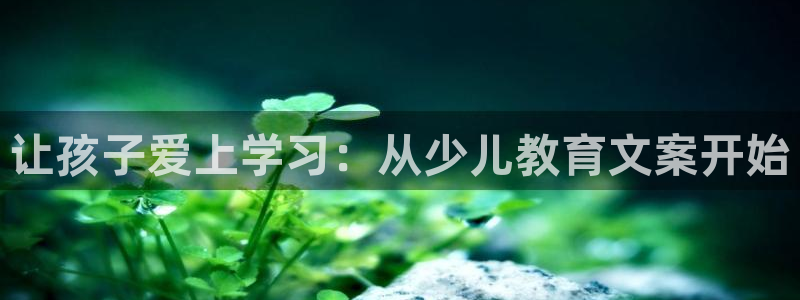 必一体育是啥