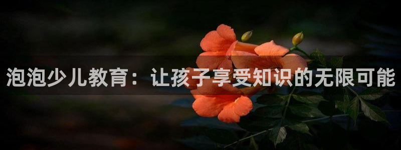 必一运动官网入口