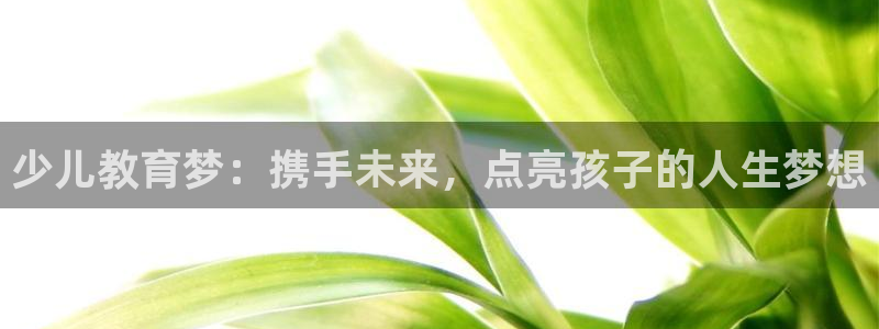 必一运动体