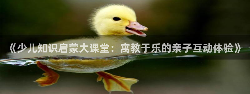 必一体育网页