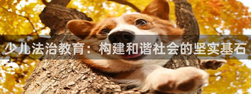 必一体育sport下载