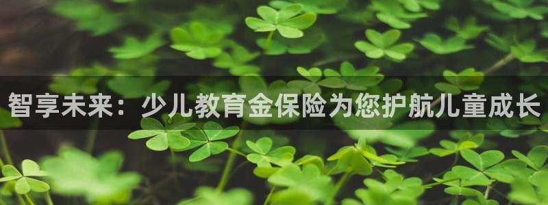 必一体育网站