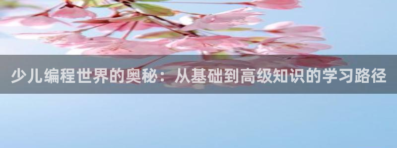 必一体育app官方正版下载