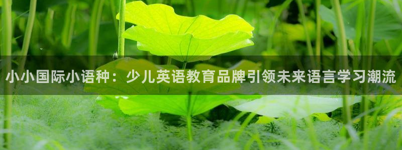 必一体育官网入口