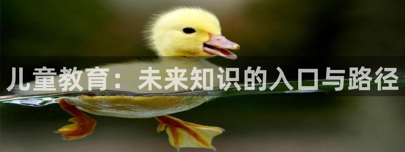 必一体育黑钱