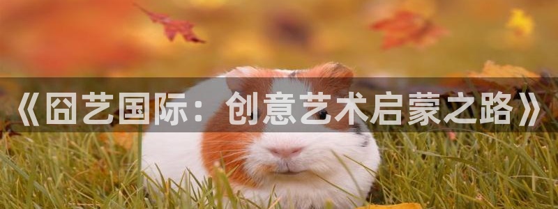 必一体育运动app下载