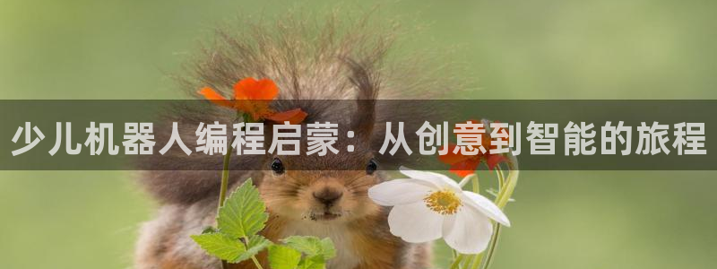必一体育官方入口