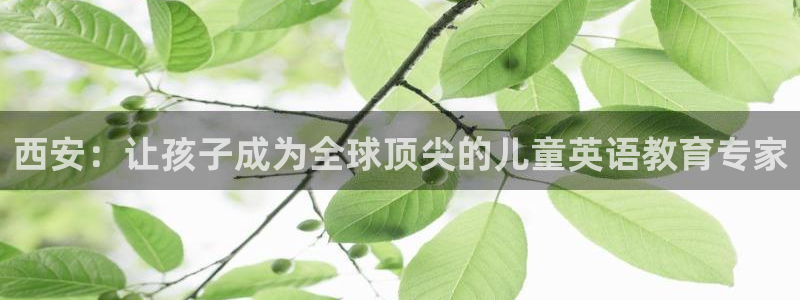 必一体育官方app下载