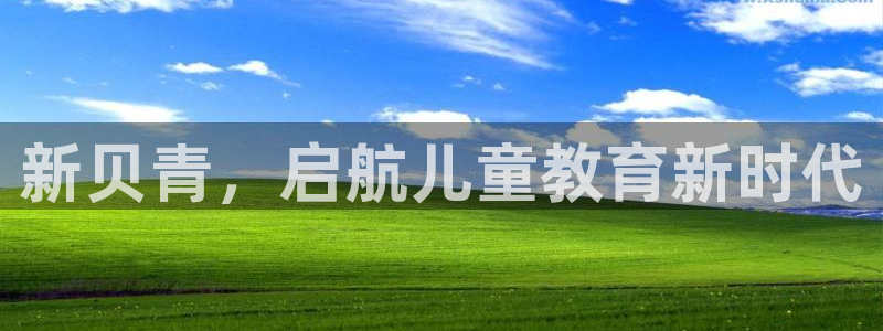 必一体育怎么下载
