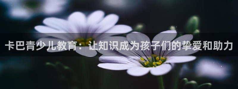 必一体育bsport2023-04-21
