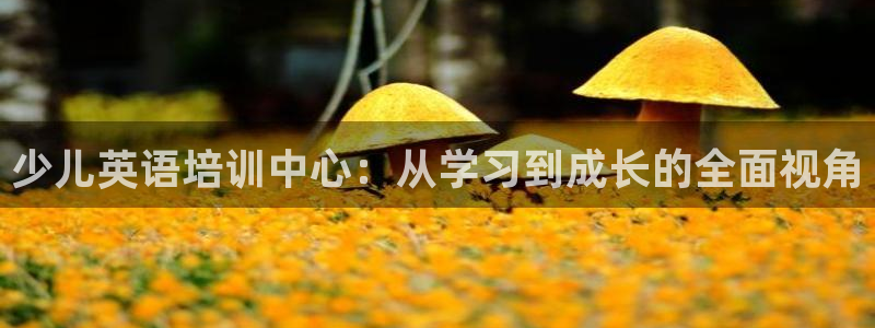 必一体育APP下载安装