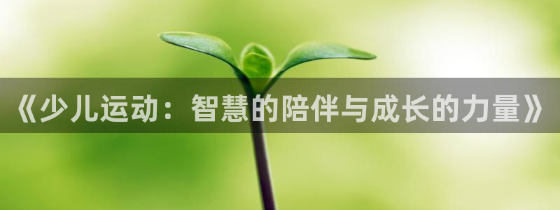 必一体育sport官方网站