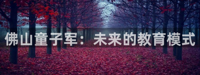 必一体育运动平台官网