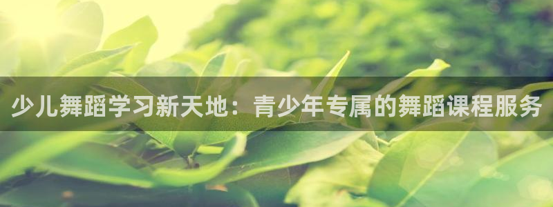 必一体育app下载