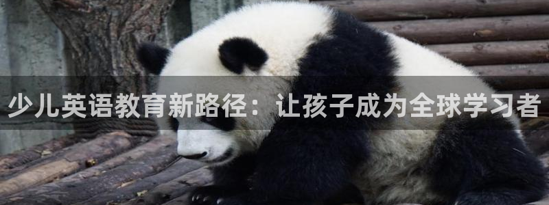 b体育官网下载入口app必一