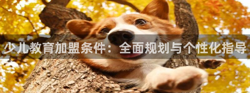 必一体育运动平台官网
