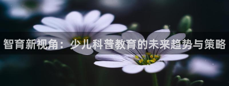 必一体育在线下载