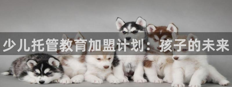 必一体育下载一样吗