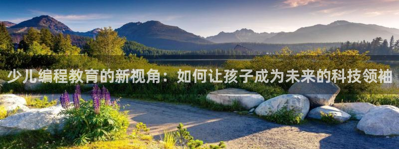 必一体育手机下载