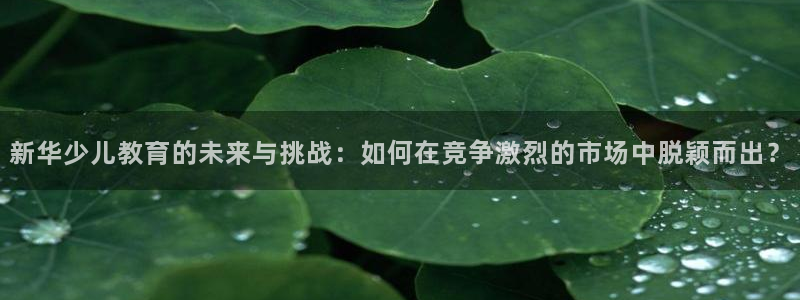 必一体育官网app