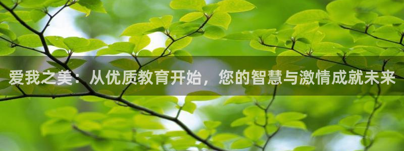 必一体育sport官网