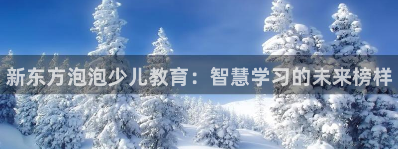 必一体育官方网站入口